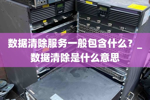 数据清除服务一般包含什么？_数据清除是什么意思