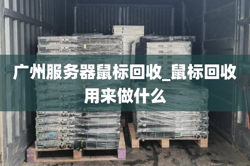 广州服务器鼠标回收_鼠标回收用来做什么