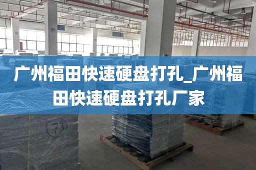 广州福田快速硬盘打孔_广州福田快速硬盘打孔厂家