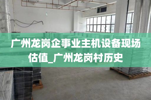 广州龙岗企事业主机设备现场估值_广州龙岗村历史