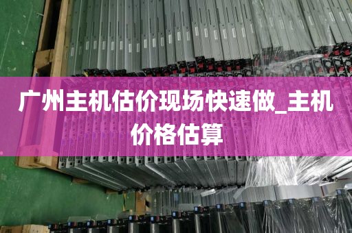 广州主机估价现场快速做_主机价格估算
